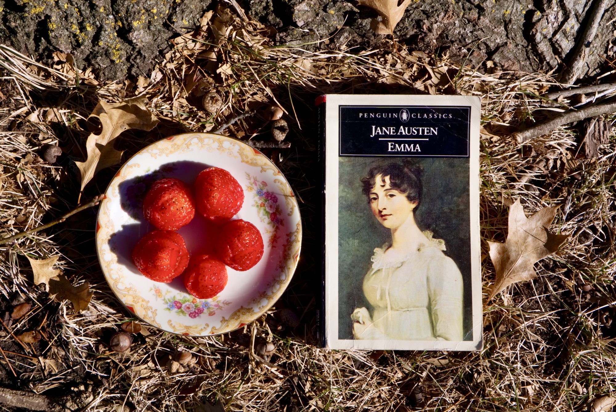 Emma by Jane Austen © 2019 ericarobbin.com | All rights reserved.