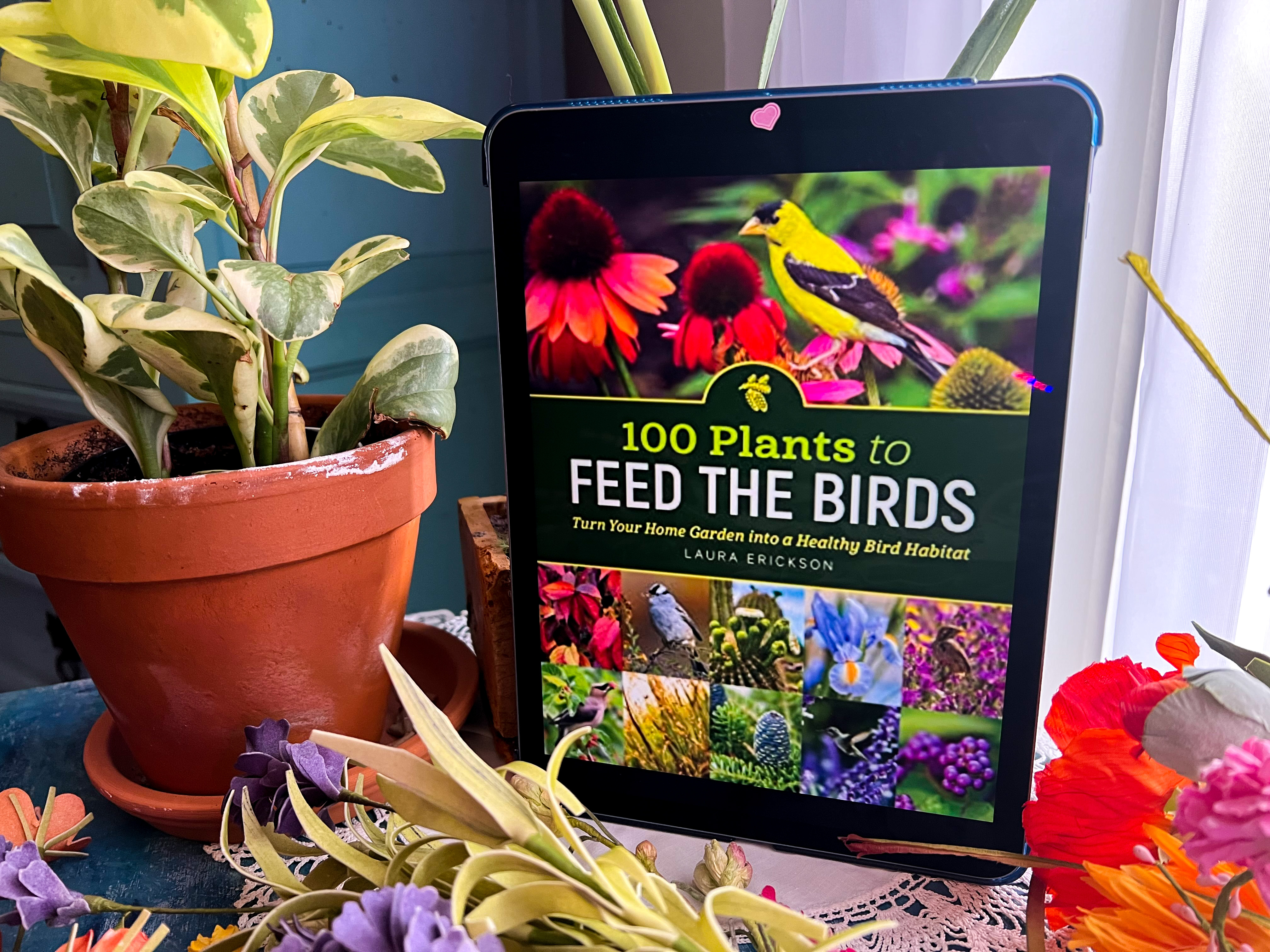 100 Plants to Feed the Birds by Laura Erickson