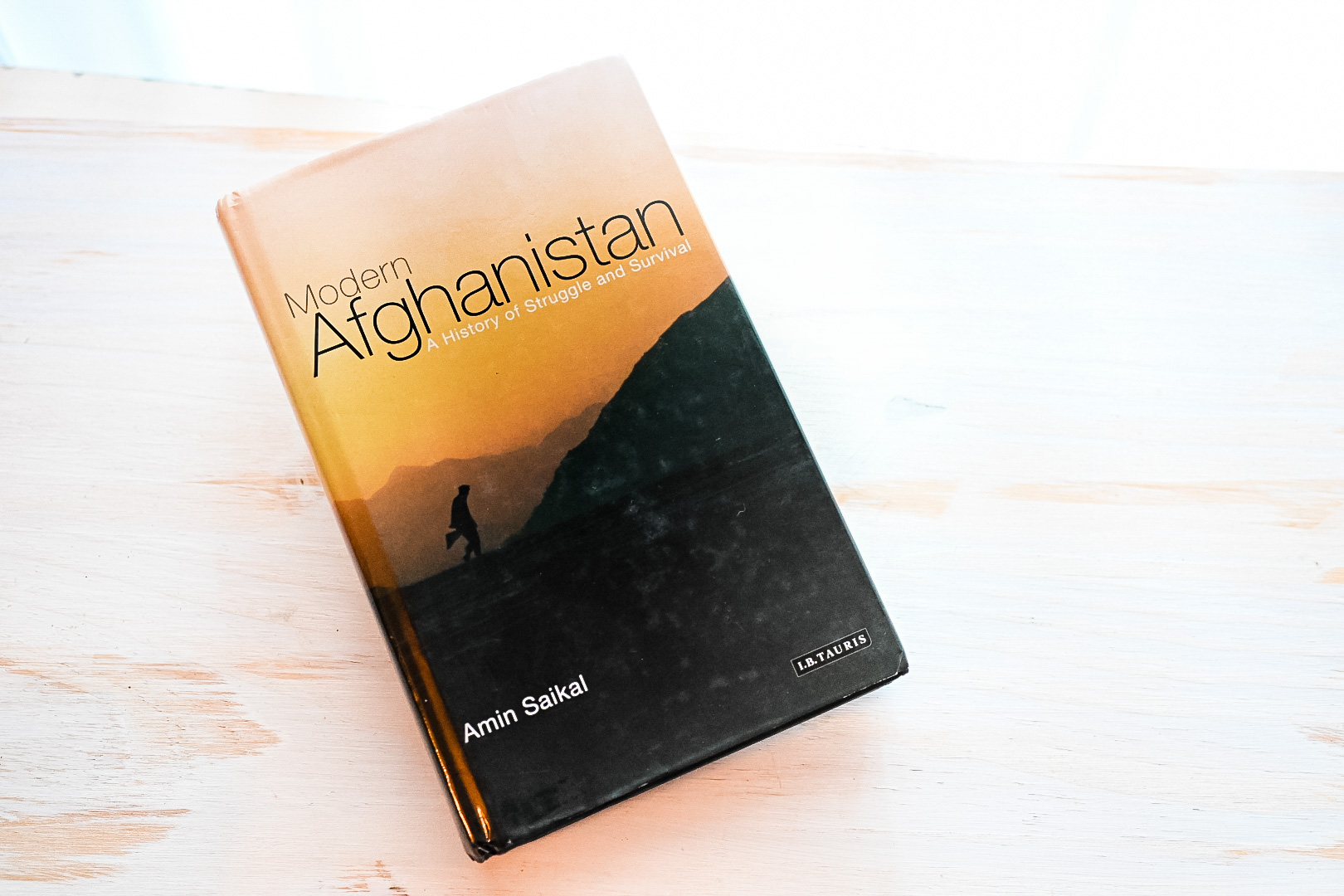 Modern Afghanistan: A History of Struggle and Survival by Amin Saikal